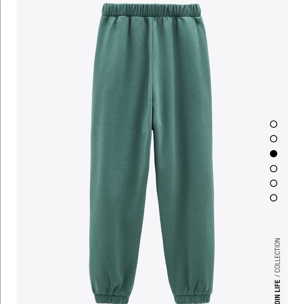 Zara plush jogging pants